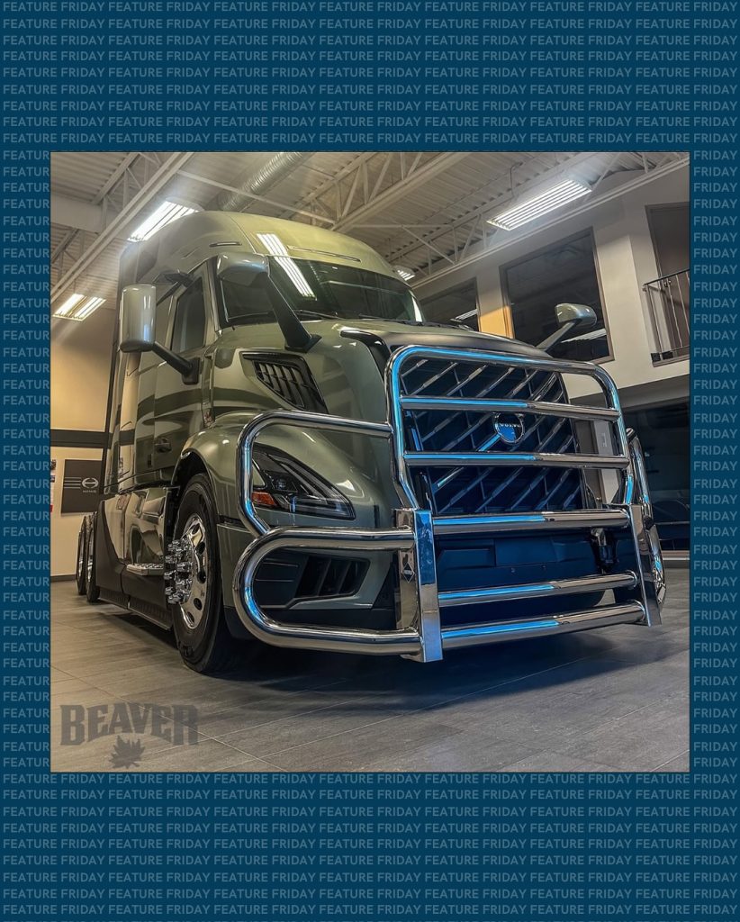 Freightliner Moose Bumper