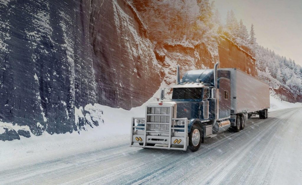 Deer Strike Damage Prevention